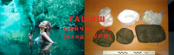 гашик Осинники
