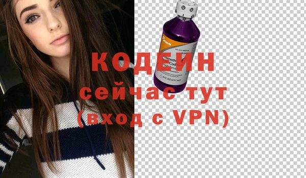 индика Ростов