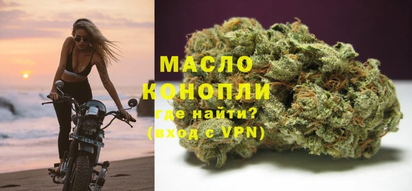 гашик Осинники