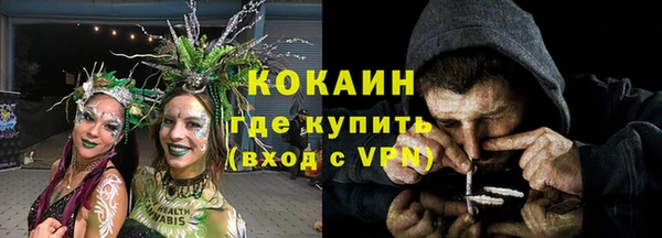 индика Ростов