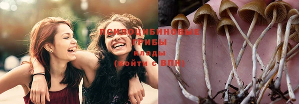 гашик Осинники