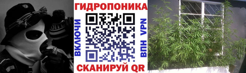 Каннабис семена  Псков 
